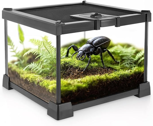 Mini Reptile Glass Terrarium Vivarium 8'' x 8'' x 6'' Full View Tank Small Amphibians Glass Habitat Cage with Feeding Slot & Box Lock Buckle