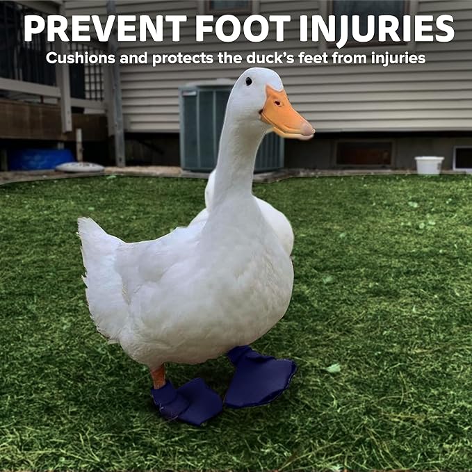 Duck Shoes for Injured Feet – Protective Neoprene Footwear for Ducks, Protective Shoes for Birds with Injured feet, Bumblefoot Relief - Medium, 3.5” Max. Inside Width - Navy