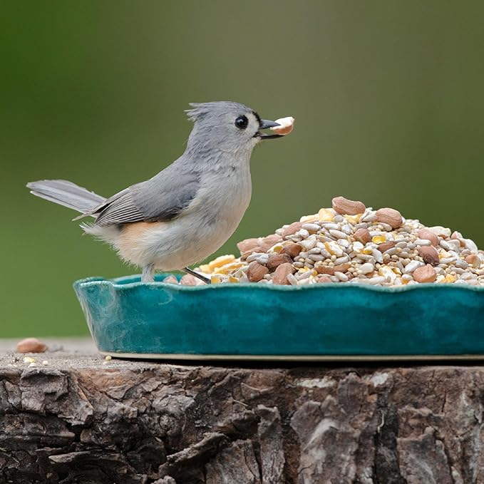 Audubon Park Waste Free Wild Bird Seed, No Mess Bird Food for Outside Feeders, 15-lb. Bag