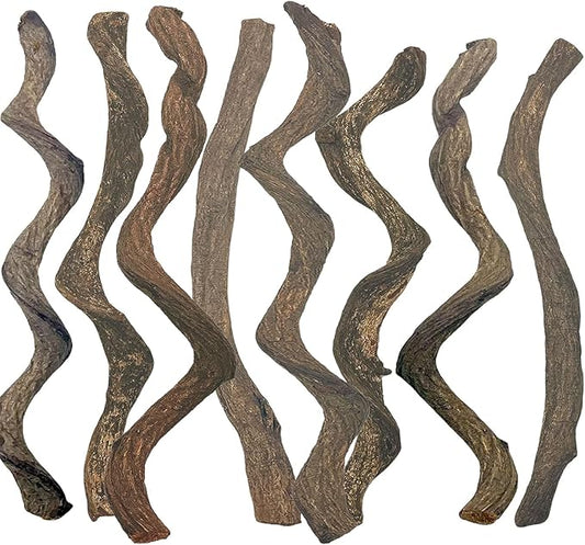 BNOSDM Reptile Forest Climbing Branch Decor Crested Gecko Climb Wood Natural Branches Tree for Snake Frog Chameleon Spider Bearded Dragon Terrarium Habitat Tank Accessories,8PCS