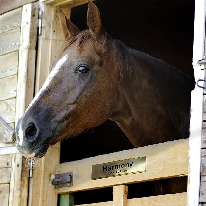 Personalized Horse Stall Name Plates, 2x12 Horse Stall Signs with Adhesive, All Weather UV Protected, Red Plastic Gold Letters - Made in USA - B17