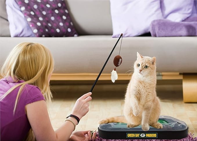 Pets First Green Bay Packers Cat Scratcher