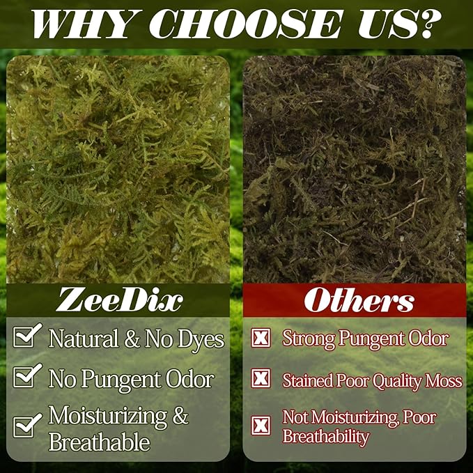 ZeeDix 8 oz Sphagnum Moss for Reptiles,12 qt Natural Hermit Crabs Moss Reptile Bedding Terrarium Substrate for Leopard Gecko Tortoise Lizard Ball Python Snakes Hermit Crab Habitat