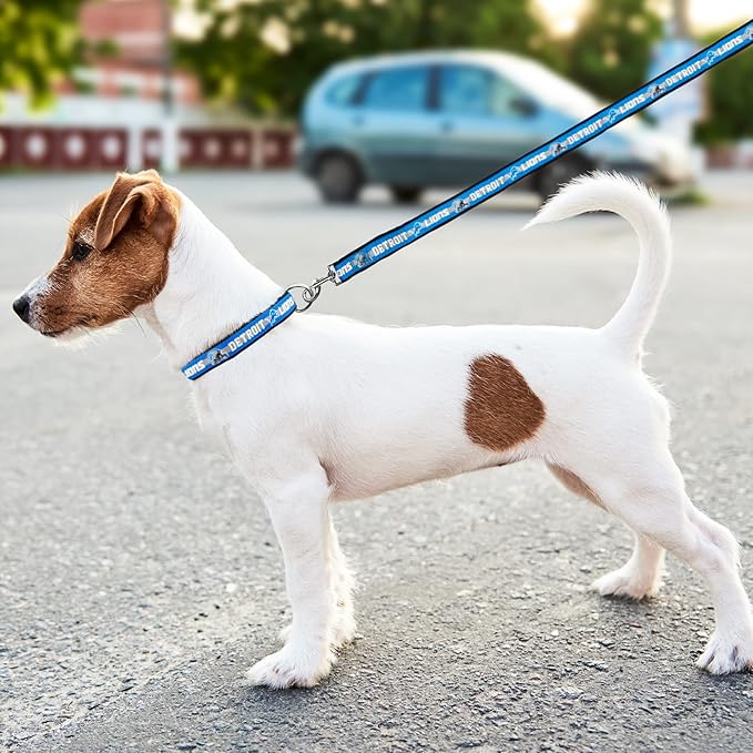 NFL Detroit Lions Dog & Cat Collar - Medium, Shiny & Colorful, Licensed by The NFL