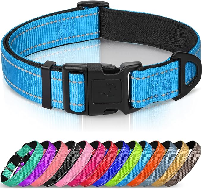 Joytale Reflective Dog Collar, Soft Neoprene Padded, Metal D-Ring, Nylon Pet Collar Adjustable for Large Dogs, Sky Blue, L