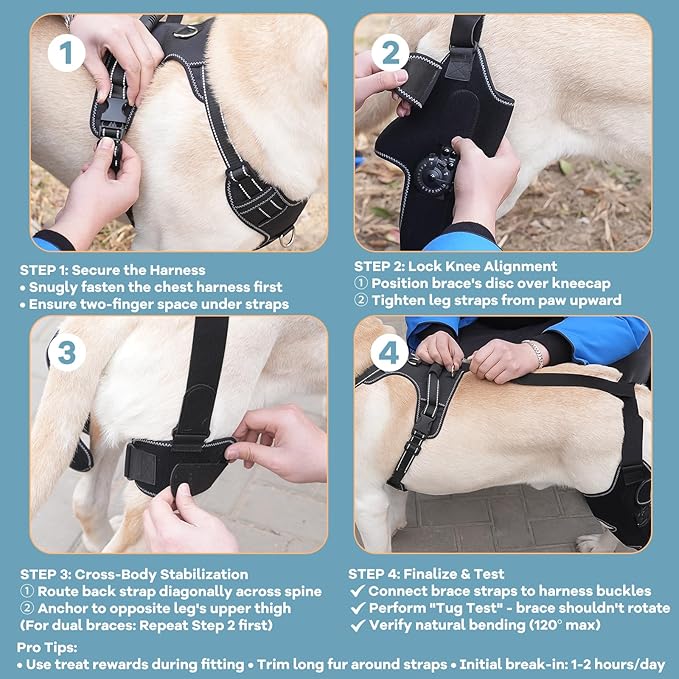 Dog Knee Brace with Adjustable Support – ACL & CCL Tear Recovery, Post-Surgery Stabilization, Mobility Aid for Rear Legs – Includes Secure Chest Harness for Dogs(Both Legs,M)