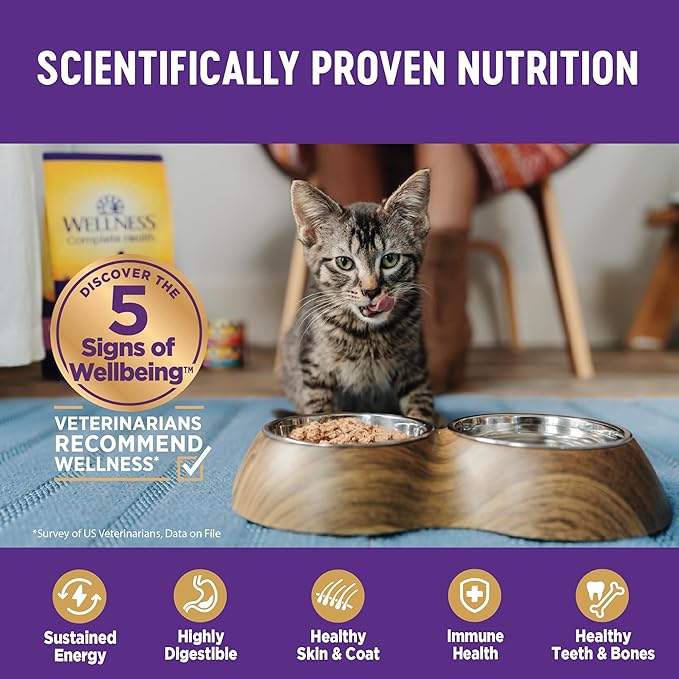 Wellness Complete Health Gravy Adult Wet Cat Food, Natural, Protein-Rich, Grain Free, 5.5 Ounce, 12 Pack, (Chicken & Tuna Dinner)