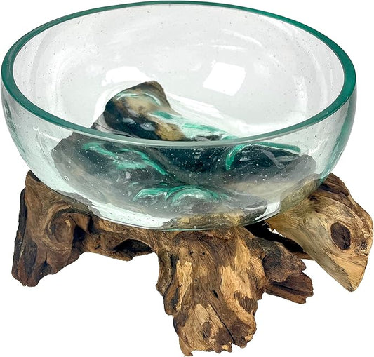Molten Glass Bowl on Driftwood, 10 Inch Low Wide Hand Blown Decorative Bowl, Unique Natural Wood and Glass Sculpture, Table Centerpiece, Planter or Terrarium, Driftwood and Glass Bowl Decor for Home
