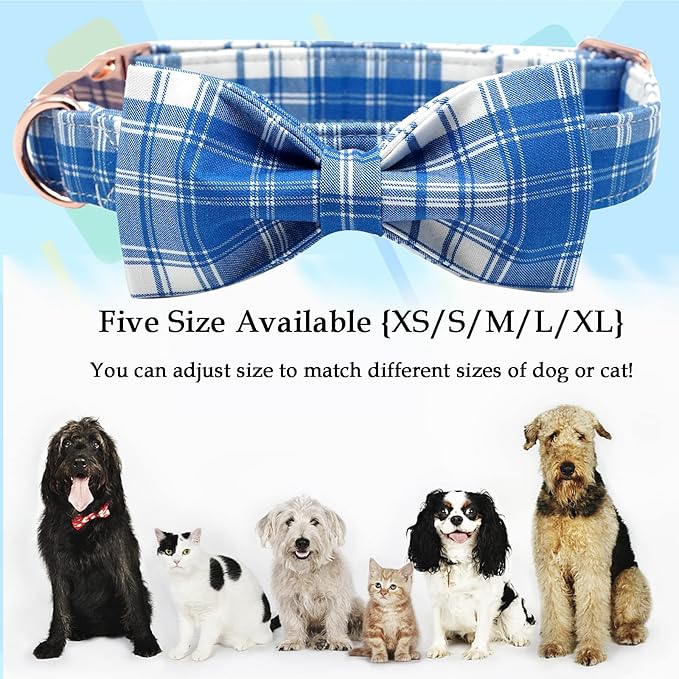 Lionheart glory Dog Collar, Boy Dog Collar Bowtie Blue Adjustable Dog Bowtie Collar Bows Dog Collar for X-Small Puppy