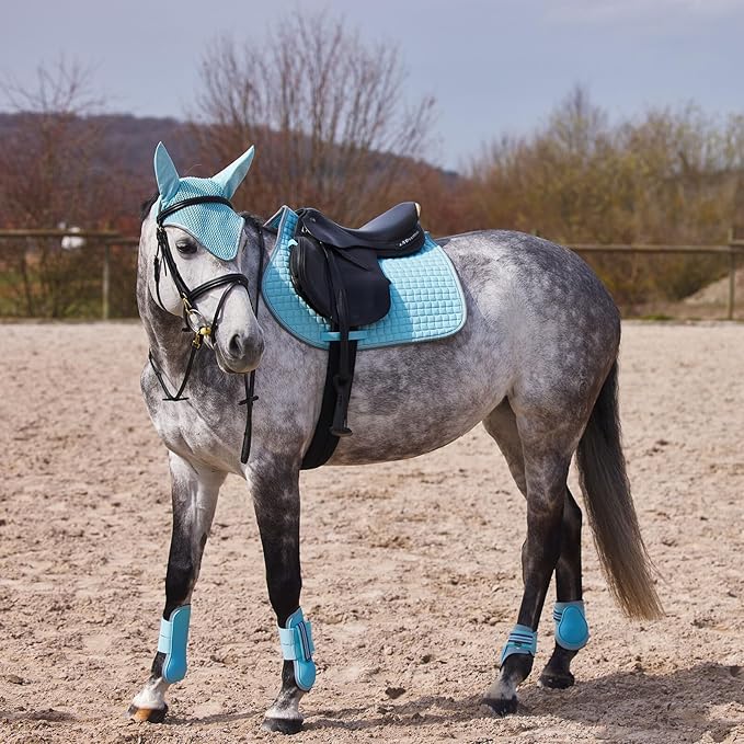 HORZE Adepto Open Front Tendon Boots | Durable Shell with Neoprene Lining - Canal Blue - Cob