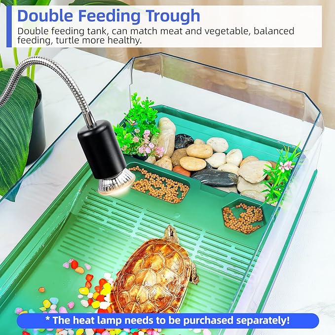 Turtle cage Tortoise Terrarium with Pump＆Filter with Shower Function Easy to Change Water and Clean Water for Turtle Horned Frog Hermit Crab (Green, Medium)