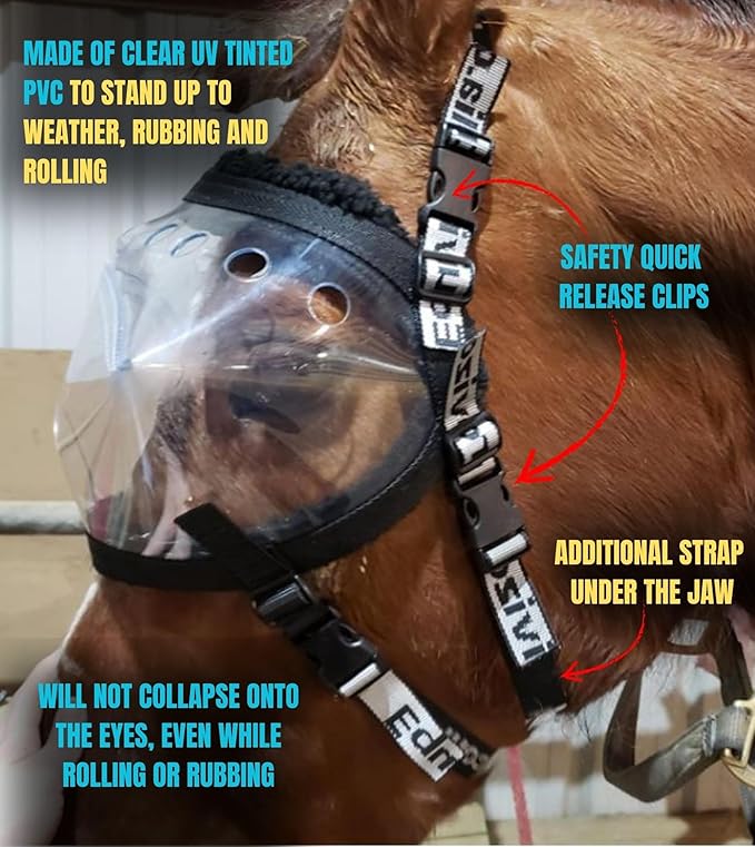 Recovery Vizor, (Size XL - Clear UV Tint) Medical and Preventative Horse Eye (Goggle) Protection Mask for Uveitis/Injury/Scratch or Corneal Ulcer, Infection, Blindness