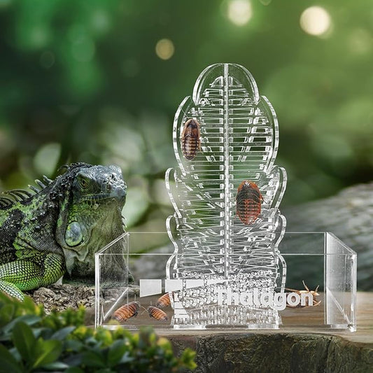 Chameleon Feeding Bowl for Reptile Terrarium, Climbable Design for Reptile to Hunt, Suitable for Feeding Bearded Dragons, Lizards, Geckos, Frogs, Small, Reddish Brown