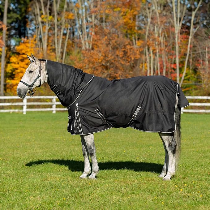 Equinavia Norse Lightweight 100g Fill Horse Rain Blanket | Waterproof Turnout Sheet - Black - 66 in - Black - 75 in