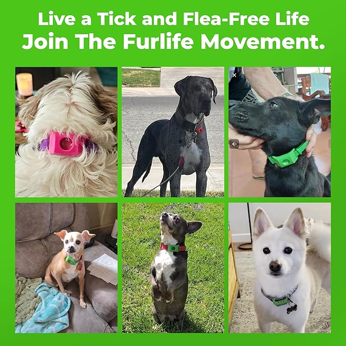 FurLife Red Dog Tag, Flea and Tick Prevention for Dogs - Waterproof Pendant for Collar, Safe for All Breeds