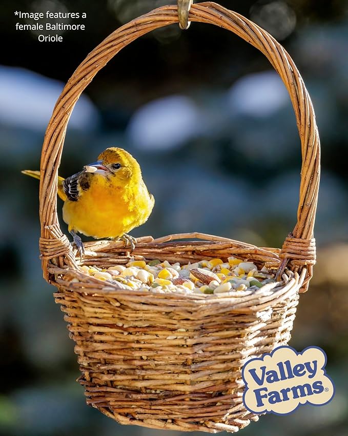 Valley Farms Woodpecker Mix, No Mess Bird Seed for Outdoor Feeders, W/Peanuts and Sunflower Hearts for Birds, Woodpecker Food, Attract All Bird Species (4 LBS)