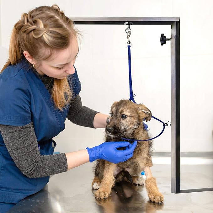 Jelly Pet Grooming Loop for Dogs, Groomers Helper, BioThane Material is Easy to Clean, Waterproof & Durable Noose Loop, Fits Most Pet Grooming Tubs/Tables/ 3/8”x24” W/Ring Lime Green