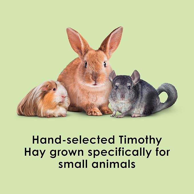 Kaytee Timothy Hay, High Fiber, Grown Specifically for Small Animals, Rabbits, Guinea Pigs, Chinchillas, 48 Ounces