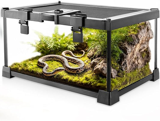 Mini Reptile Glass Terrarium Vivarium 12'' x 8'' x 6'' Full View Tank Small Amphibians Glass Habitat Cage with Feeding Slot & Box Lock Buckle