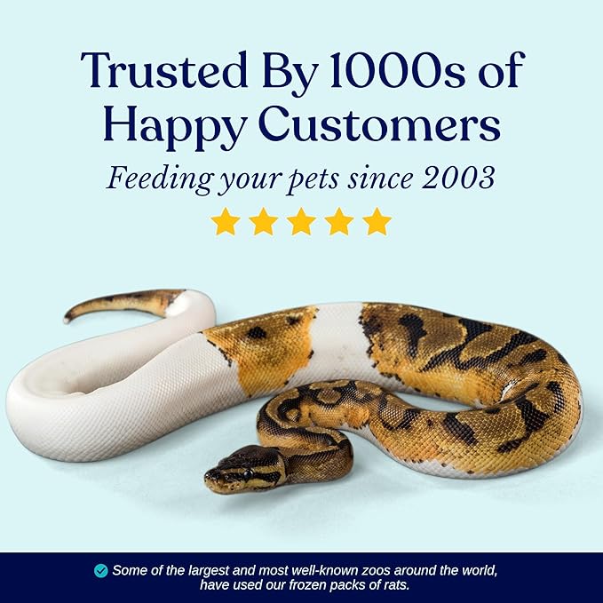 MiceDirect Frozen Pinkie Feeder Mice Food for Corn Snakes Ball Pythons Lizards (125 Count)