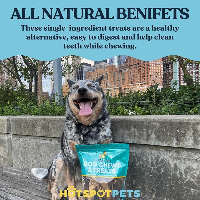 hotspot pets 8-9 Inch Large Rawhide Dog Chew Rolls (20 Pack) - Made from Grass Fed Cows - Great for Dental & Oral Care for Aggressive Chewers Large Dogs, Single Ingredient Treat