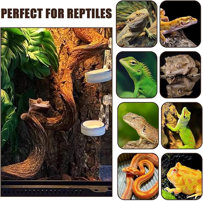 BNOSDM 2Pcs Natural Reptile Climbing Branches Decor,1.3-1.8" Thick Natural Snake Climbing Forest Wood with Plant Leaf Decor,Lizard Forest Branch,Geckos Tank Tree Trunk Accessories for Bearded Dragons