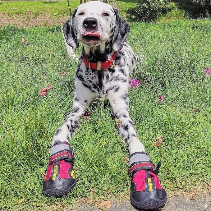 QUMY Dog Shoes for Large Dogs, Medium Dog Boots & Paw Protectors for Winter Snowy Day, Summer Hot Pavement, Waterproof in Rainy Weather, Outdoor Walking, Indoor Hardfloors Anti Slip Sole Red Size 2