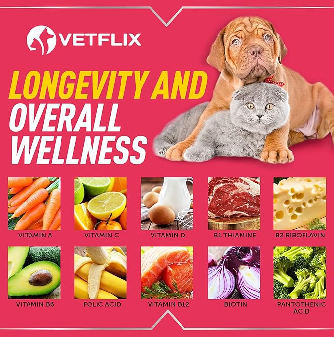 Pet Vitamins 10 in 1 - Made in USA - Glucosamine for Dogs & Cats - Dog Supplement for Pet Joint Health - Natural Cat, Dog Multivitamin - All Ages & Breeds - Folic Acid for Cats & Dogs Immune - 2 Fl Oz