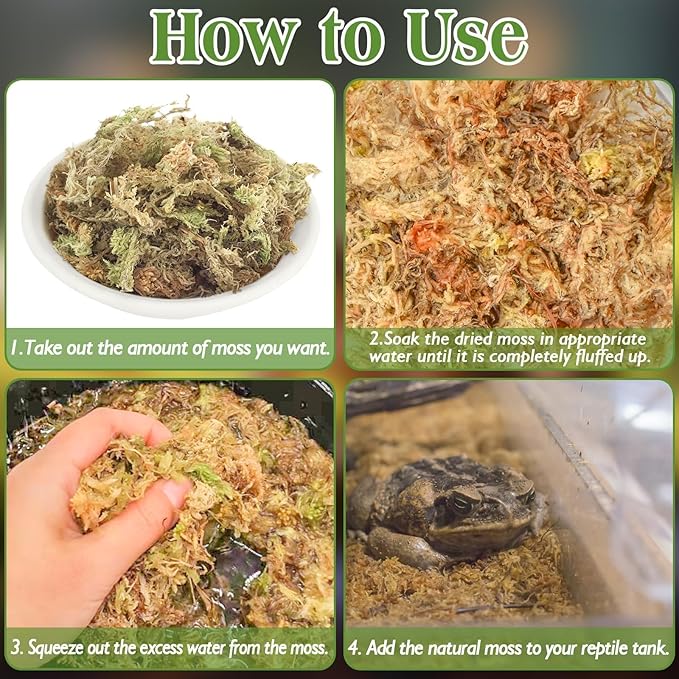 Halatool 3.5OZ Natural Sphagnum Moss for Reptiles Premium Reptile Moss Ideal Terrarium Moss for Box Turtles Hermit Crabs Leopard Gecko Snakes and Hamsters Enclosure
