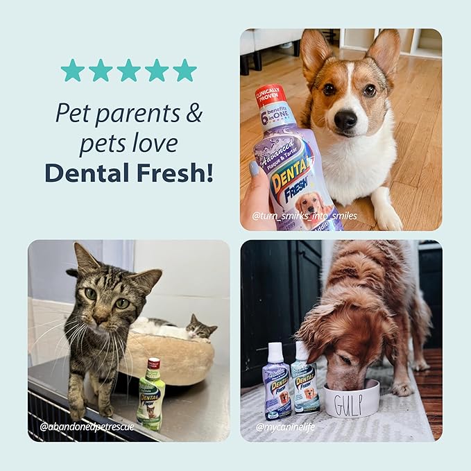 Dental Fresh Water Additive for Dogs, Original Formula, 32oz – Dog Breath Freshener and Dog Teeth Cleaning for Dog Dental Care– Add to Water