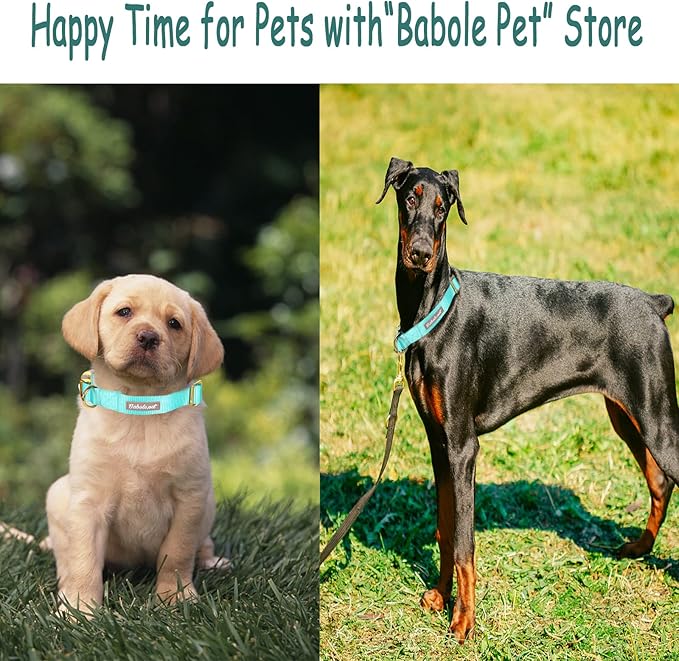 Nylon Dog Collar - Adjustable Lake Blue Soft Webbing Dog Collars for Small Medium Large Dogs Boy Girl Puppy Collar with Safety Metal Buckle XL