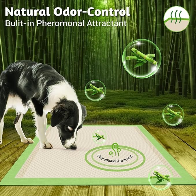 MIZOK Dog Pee Pads 36x36in Dog Pads XXL with Bamboo Odor Eliminating 11 Cups Super Absorbent 6-Layer Leak-Proof Puppy Pads with Adhesive Stickers, Disposable (30 Counts)