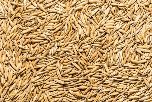 Thunder Acres Non GMO, Certified Organic, Oat Seed (5 lb.)