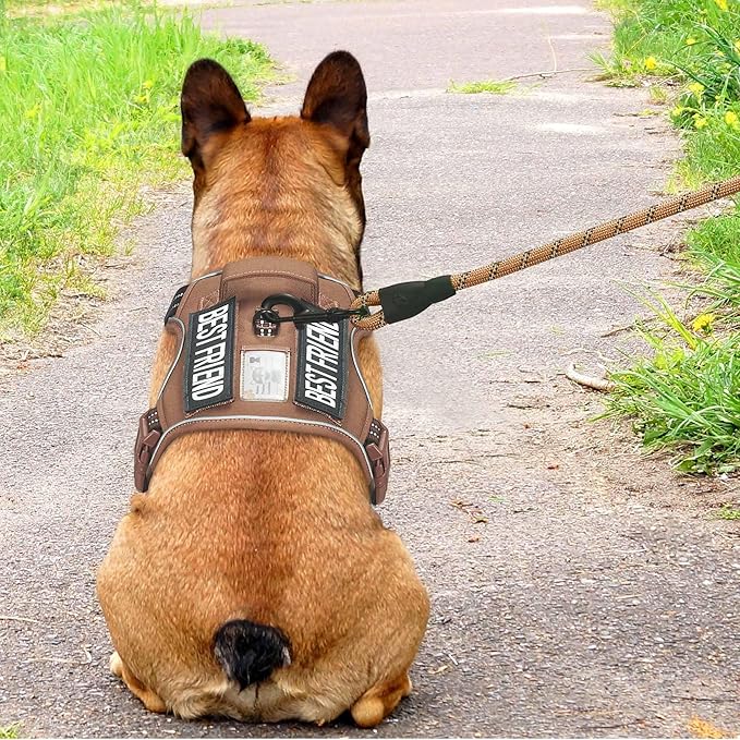 Heavy Duty Tactical Dog Harness for Medium Dogs, Brown, Molle System, Four-point Adjustment, Anti-lost ID Tag, Includes 5ft Leash