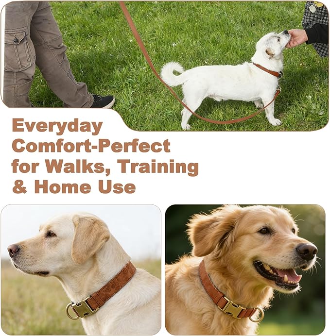 Genuine Leather Dog Collar - Adjustable Pet Collar with Quick Release Metal Buckle, Soft Skin Friendly Real Leather Collar for Small, Medium, Large Dogs (Khaki Collar + Rope, L：Fit 15-23" Neck)