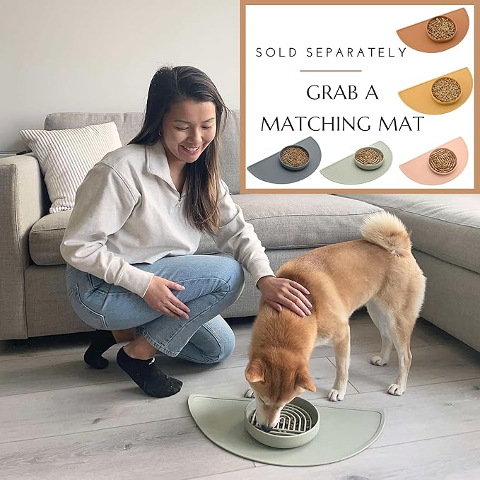 The Slowdown Bowl Silicone Slow Feeder for Cats & Kittens, Slow Eating Mealtime Solution with Modern Lick Mat Design, Reduces Gulping, Fits 1 Cup 6” Across x 1.25” Tall, Small-Blush