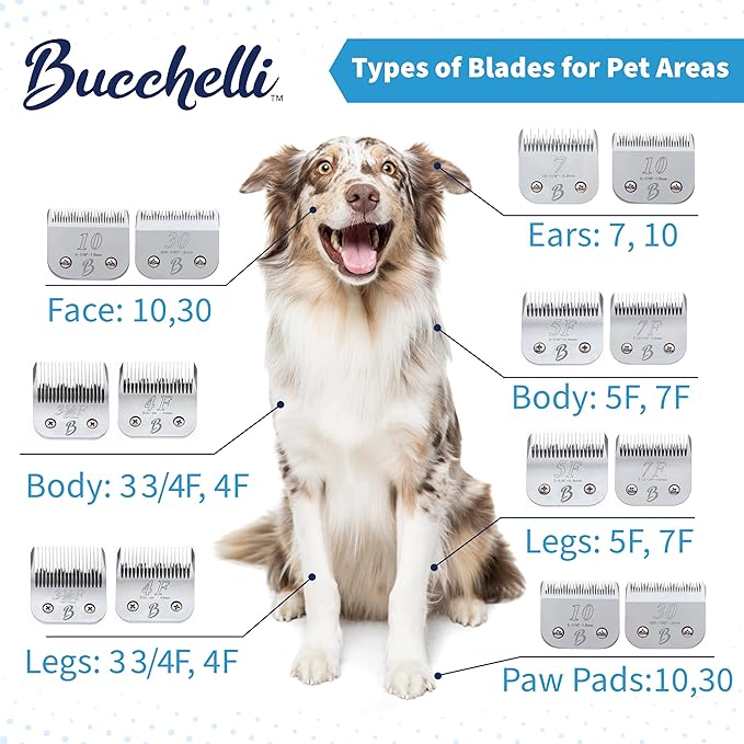 Detachable A Series 8 1/2 Blade Dog Grooming Clipper Blade Cuts Length 7/64" - 2.8mm Japanese Carbon Steel 8 1/2 Clipper Blade | 2.8mm Clipper Blade (Compatible A5 Series(B812)