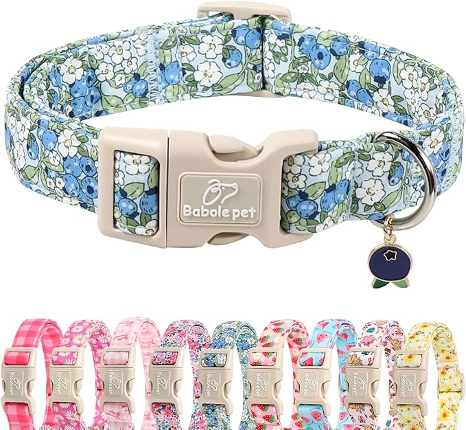 Blueberry Pattern Dog Collar, Cute Light Blue Spring Summer Puppy Collar - Soft Adjustable Designer Dog Collars for Small Medium Large Dogs M