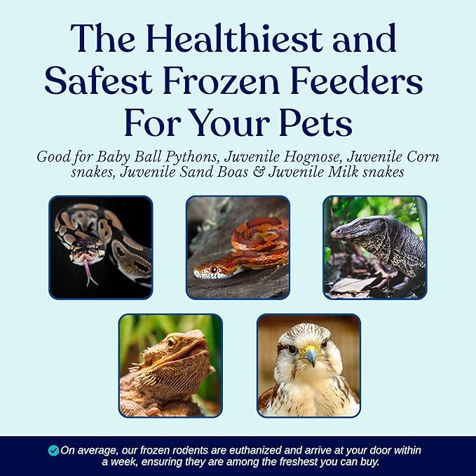 MiceDirect 25 Frozen Rat Fuzzies Feeders Snake Food for Adult Corn Snakes Ball Pythons (2-2.5 in)(225 Grams Min)(25 Count)