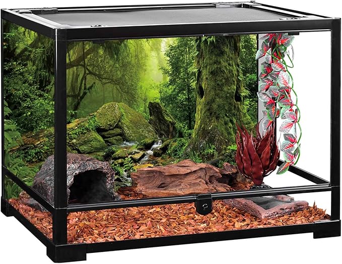 AWERT Tropical Forest Terrarium Background Stream Green Huge Tree Reptile Habitat Background Foggy Rainforest Aquarium Background 72x16 inches Durable Polyester Background