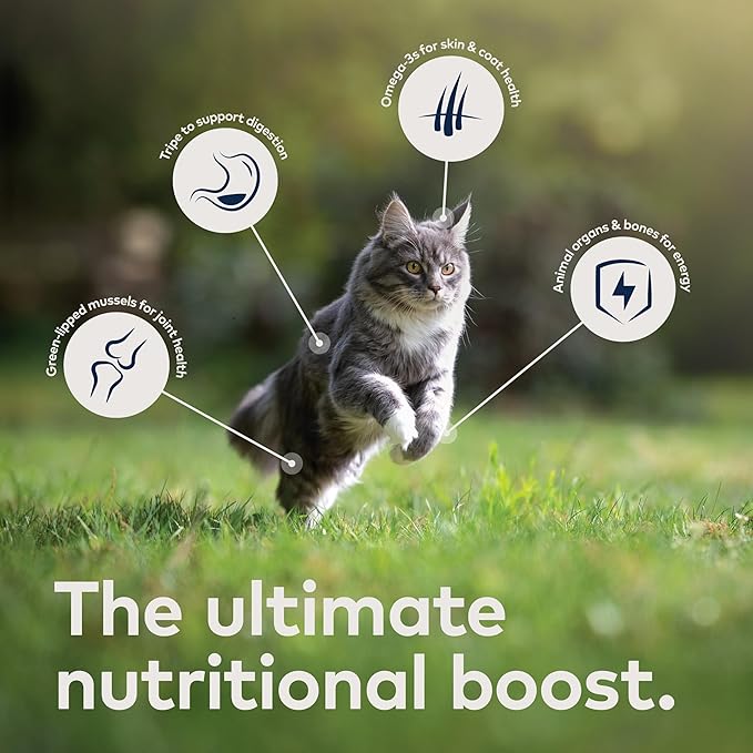 ZIWI Peak Wet Cat Food – All Natural, High Protein, Grain Free, Limited Ingredient, with Superfoods (Mackerel, Case of 6, 3oz Cans)