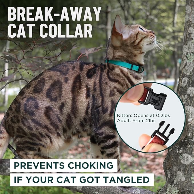 OutdoorBengal Pink Cat Collar Breakaway with Soft Padding for Medium to Large Cats - Durable Heavy Duty Tactical Fabric, Comfortable, Quick Release Breakaway Cat Collars, No Bell Collar (Pink, Adult)