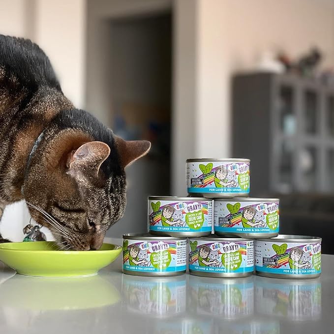 Weruva B.F.F. OMG - Best Feline Friend Oh My Gravy!, Chicken Cloud 9 with Chicken in Gravy, 2.8oz Can (Pack of 12)