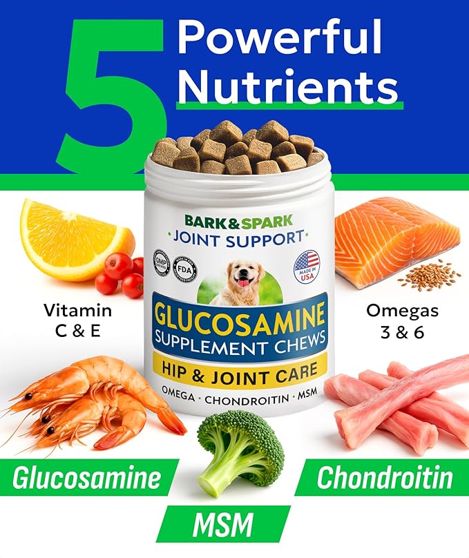 Glucosamine Chondroitin Dog Hip & Joint Supplement - Joint Pain Relief - Hip & Joint Chews for Dogs - Joint Support Large Breed - Senior Doggie Vitamin Pills Joint Health - (240 Treats - Chicken)