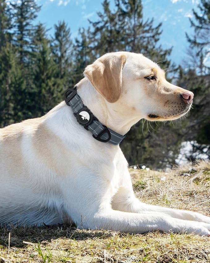 Joytale Airtag Dog Collar, Reflective Pet Collar with Waterproof AirTag Holder, Dual D-Rings, Soft Padded Adjustable for Extra Large Dogs, Gray, XL