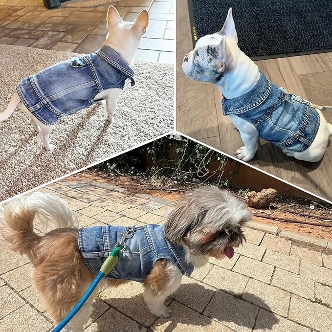 Puppy Clothes for Small Dogs Boy,Classic Western Denim Dog Coat,Dog Jeans Jacket with Leash D-Ring,Pet Cat Costumes,Cooling Harness Vest for Walking (Blue, X-Small)
