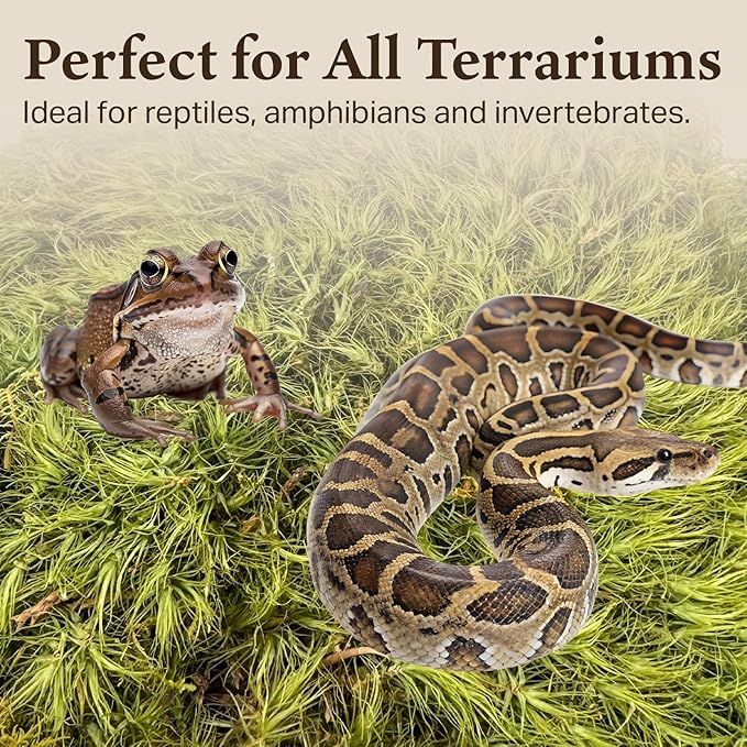 The Habitat Life - Natural Mood Moss - for Reptiles, Amphibians & Invertebrates Terrariums - Moisture-Retaining - Humidity Control - Soft Bedding - Dye-Free & Safe - Medium - 2 Pack