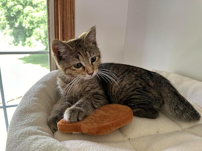 munchiecat Japanese Taiyaki Toy with Organic Catnip | Refillable, Washable for Cats and Kittens | Crinkles