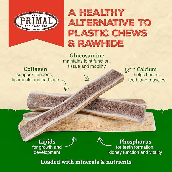 Primal Antlers for Dogs, Grade A Split Stag Antlers for Medium Canines 15-30 lb, Natural Chews for Aggressive Chewers, Naturally Shed, Long Lasting Dog Bones, 1 ct