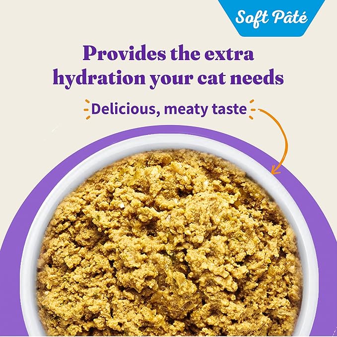 Halo Wet Cat Food Whole Salmon Stew Recipe, Grain Free Wet Cat Pate, Canned Cat Food for Extra Hydration, 5.5 Oz Can (Pack of 12)